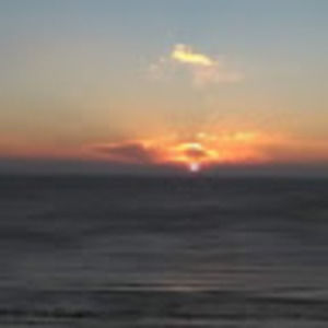 Meet your Posher, Vince